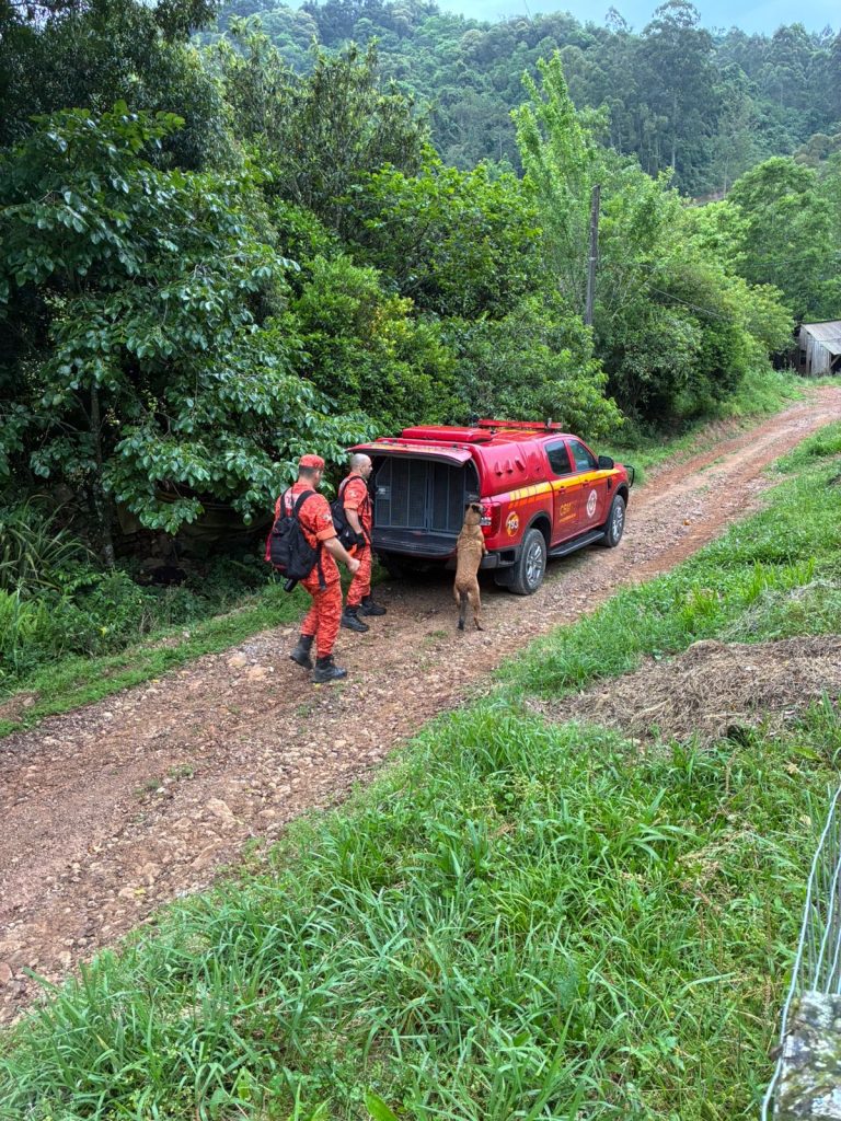 Buscas seguem por mulher desaparecida em zona rural de Nova Bréscia