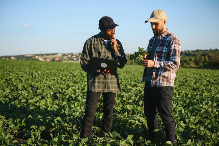 Mais de 282 mil agricultores renegociam dívidas por meio do Desenrola Rural