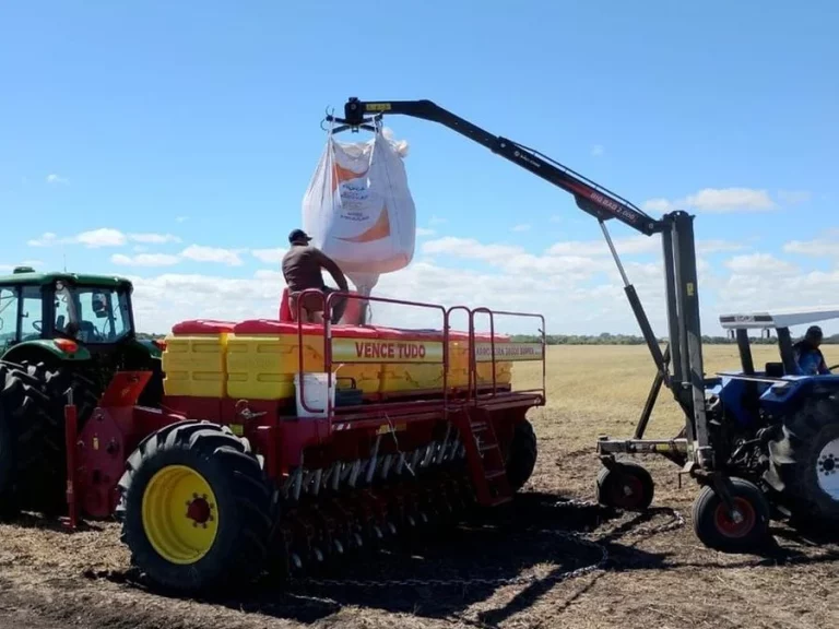 RS já plantou mais da metade da área prevista para a safra de arroz 2025/2026