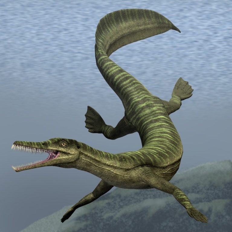 Obra em rodovia do Paraná é paralisada após descoberta de fósseis pré-dinossauros