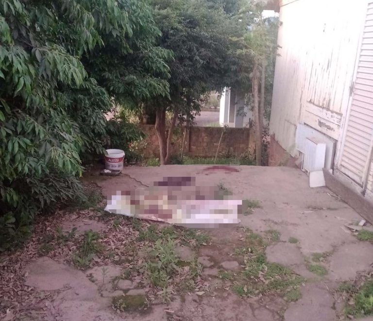 Três cães são encontrados mortos em Lajeado em menos de seis horas