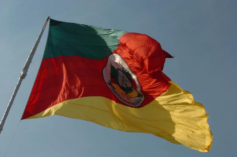 Festival nativista do RS exclui mais de dez músicas criadas por inteligência artificial