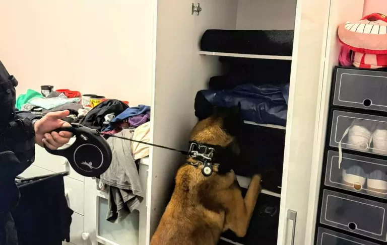Operação mira servidoras suspeitas de facilitar tráfico em presídio feminino do RS