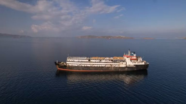 Navio com 3 mil vacas à deriva há meses tenta voltar ao Uruguai com animais debilitados