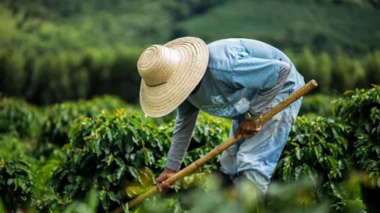 Encantado vai entregar R$ 500 mil em bonificações a agricultores