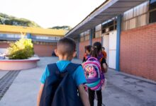 Senado aprova novo Plano Nacional de Educação e texto vai ao plenário