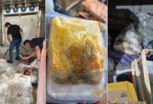 Estabelecimento é interditado após apreensão de 2,3 toneladas de alimentos