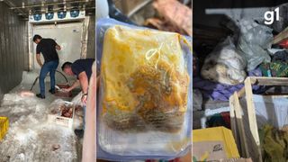 Estabelecimento é interditado após apreensão de 2,3 toneladas de alimentos