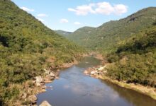 Movimento ambiental da Serra Gaúcha se torna associação oficial