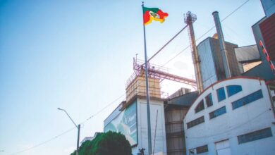 Dália a empresa que mais emprega no Município