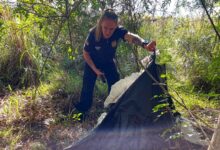 Ossada humana é encontrada no Distrito Industrial de Venâncio Aires