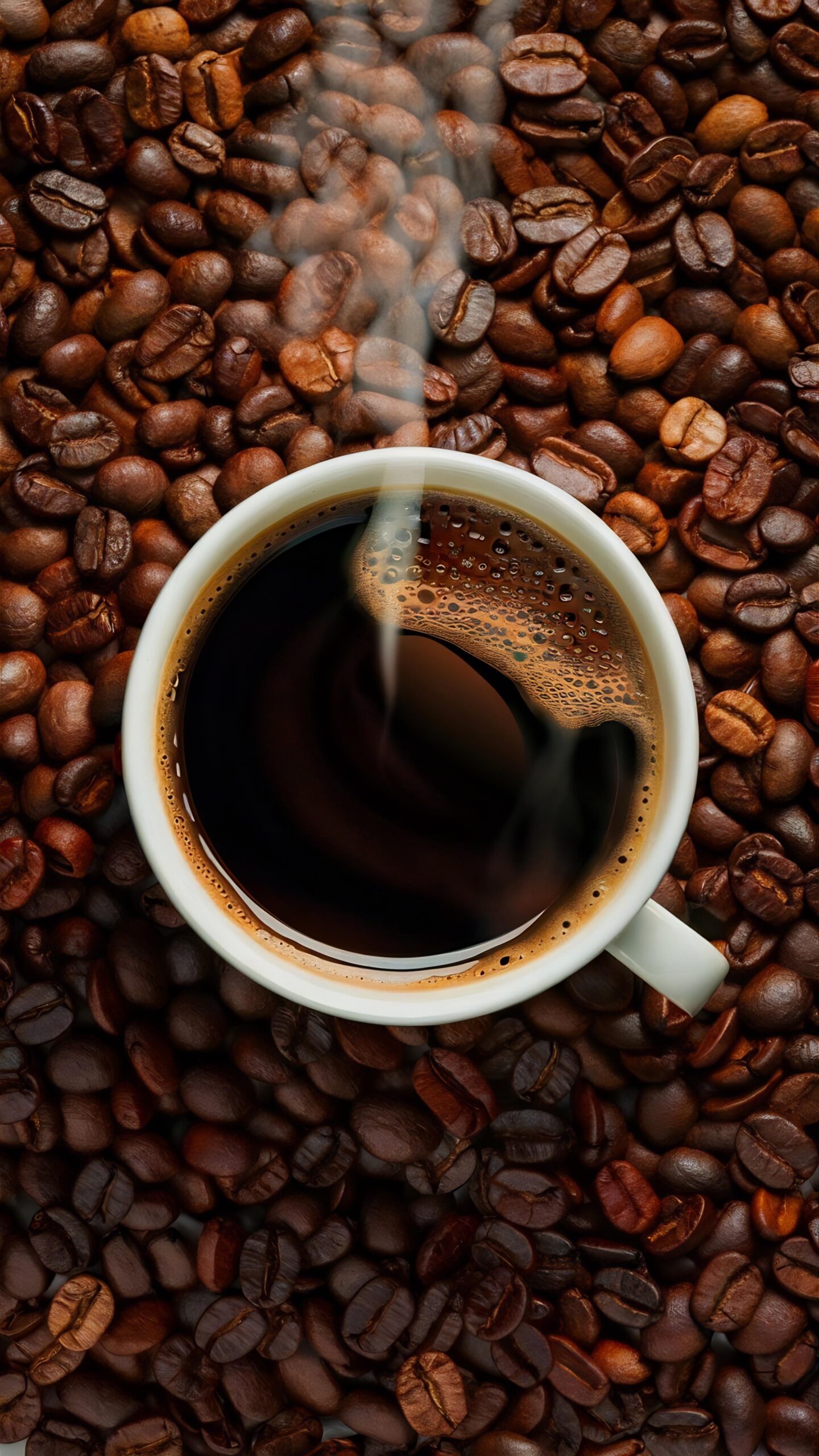 Brasil tem 35 regiões produtoras de café, mais que o número de estados