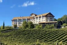 Rio Grande do Sul conquista prêmio nacional de enoturismo