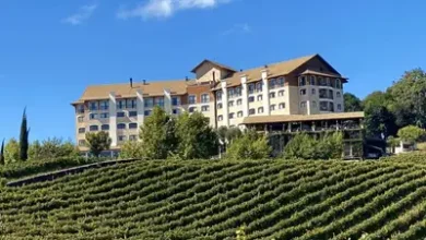 Rio Grande do Sul conquista prêmio nacional de enoturismo