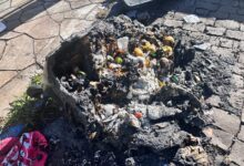 Foto: Elisangela Favaretto