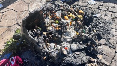 Foto: Elisangela Favaretto