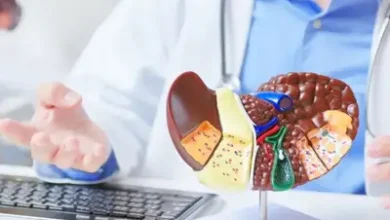 Cebolinha comum protege fígado contra gordura e inflamação