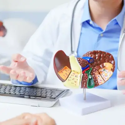 Cebolinha comum protege fígado contra gordura e inflamação