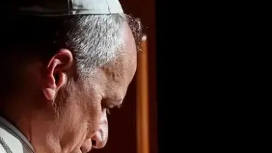 Vaticanista revela como Papa Francisco atuou para fazer de Leão 14 seu sucessor