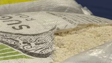 Brasileiros são presos em Portugal com quase 1 tonelada de cocaína
