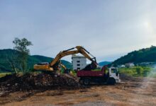 Foto: divulgação/Mariele Agostini