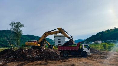 Foto: divulgação/Mariele Agostini