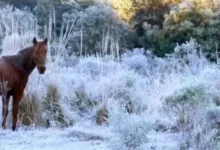 Temperatura cai abaixo de zero no RS; primeira onda de frio de 2026 avança sobre o Estado