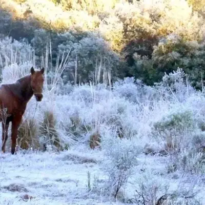 Temperatura cai abaixo de zero no RS; primeira onda de frio de 2026 avança sobre o Estado