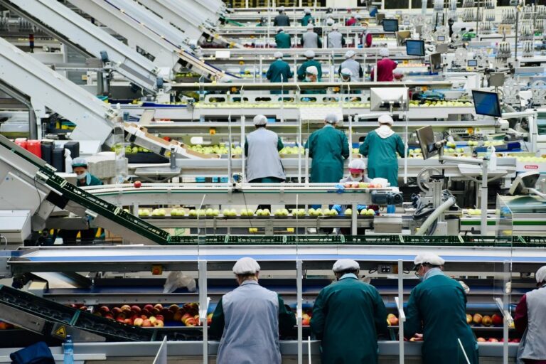 Estudo revela que condições de saúde