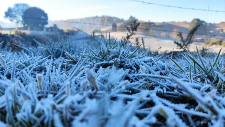 Geada pode atingir o Vale do Taquari até quarta-feira com frio intenso