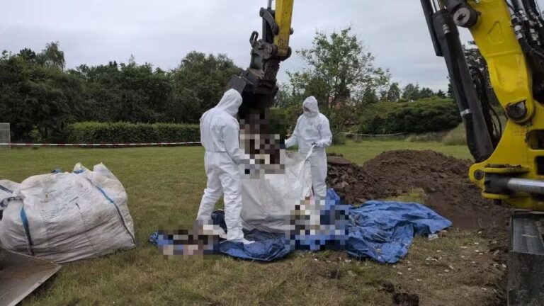 Médica é presa após 34 fetos serem encontrados enterrados em sua casa