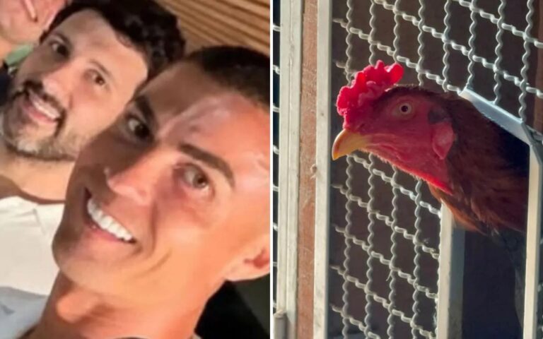 Cunhado de Cristiano Ronaldo é investigado por rinha de galos no RS