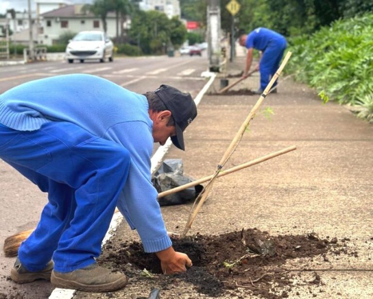 Santa Clara do Sul planta mais de 1,3 mil árvores em 18 meses