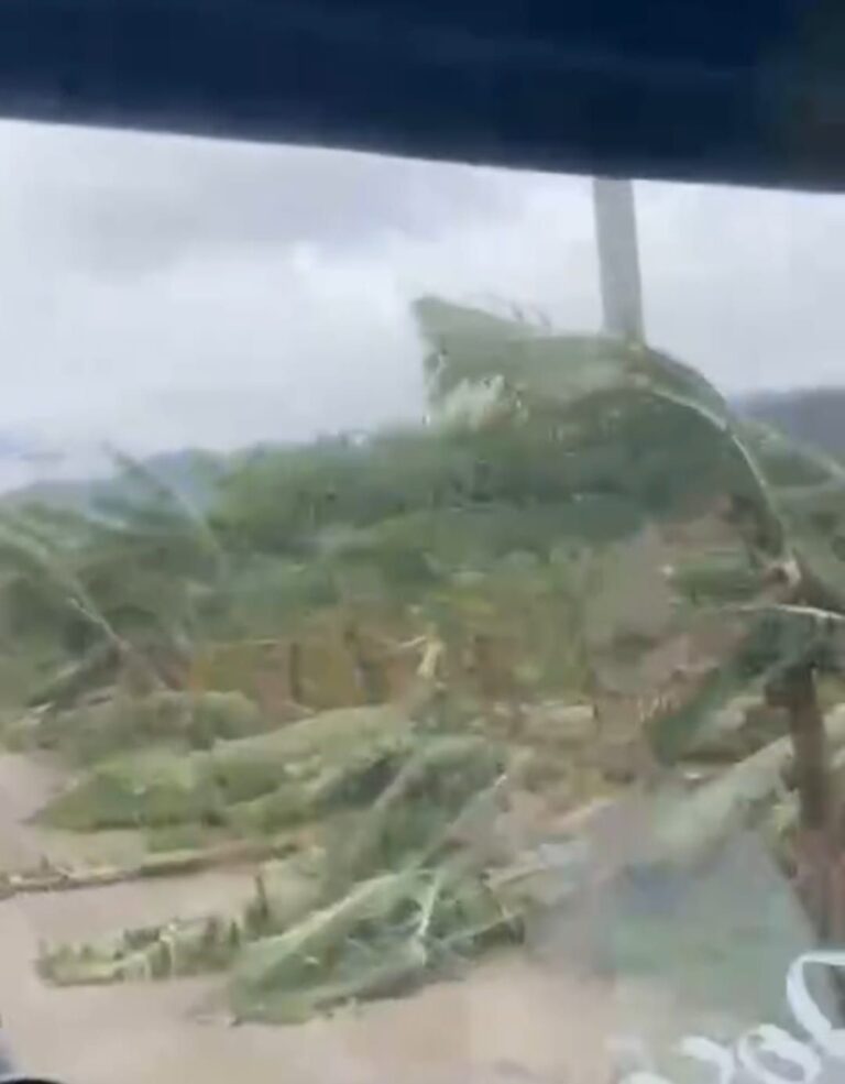 Vendavais podem superar 100 km/h no Rio Grande do Sul neste sábado