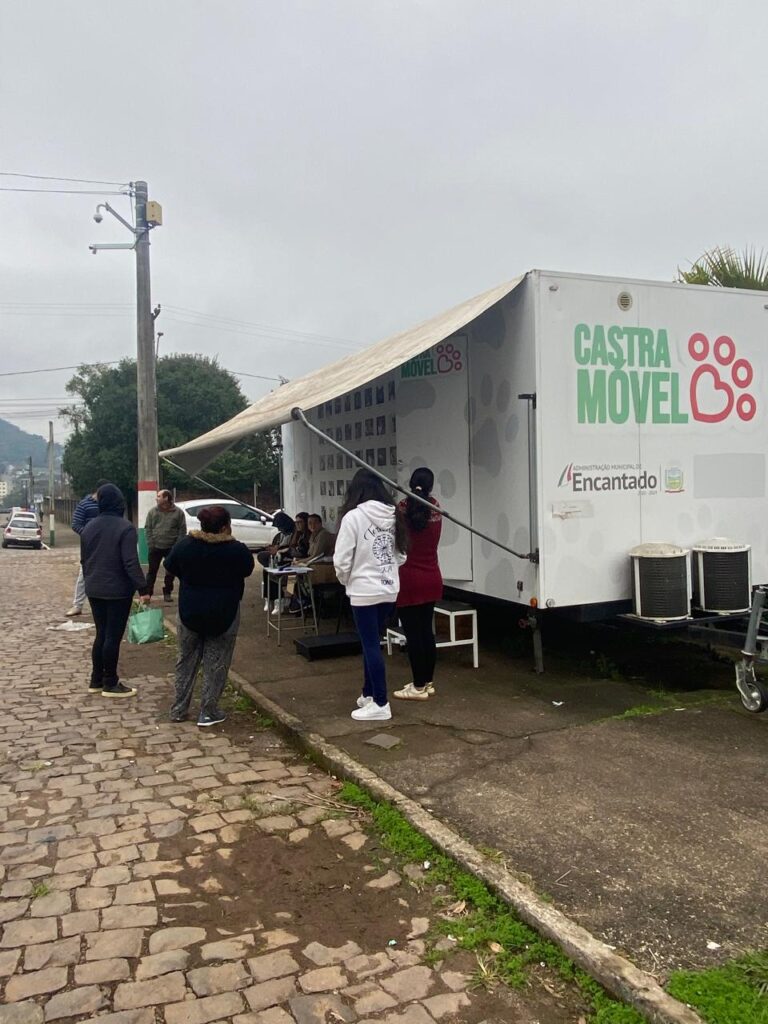 Faltas em mutirão de castração deixam 16 vagas sem atendimento em Encantado