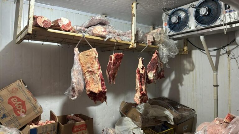 Força-tarefa apreende 2,2 toneladas de alimentos impróprios Norte do Rio Grande do Sul