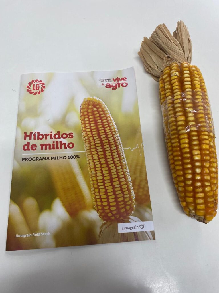Encantado distribui 597 sacas de sementes de milho a produtores rurais