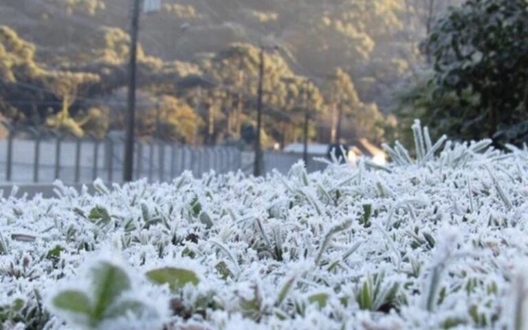 Frio intenso mantém risco de geada no Rio Grande do Sul até terça-feira