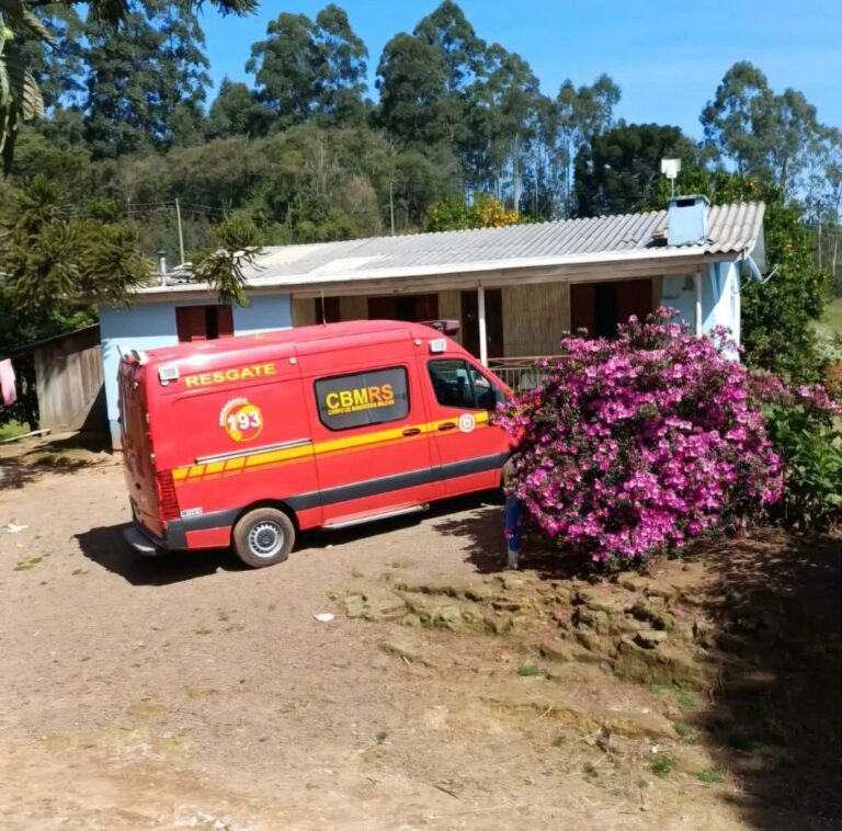 Homem morre após ser atingido por árvore em Fontoura Xavier