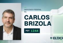Quem é Carlos Brizola, candidato a deputado federal do RS pelo PDT