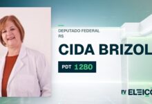 Quem é Cida Brizola, candidata a deputada federal do RS pelo PDT