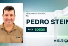 Quem é Pedro Stein, candidato a deputado estadual do RS pelo PSOL