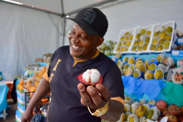 Frutas exóticas chamam atenção na Expointer 2026
