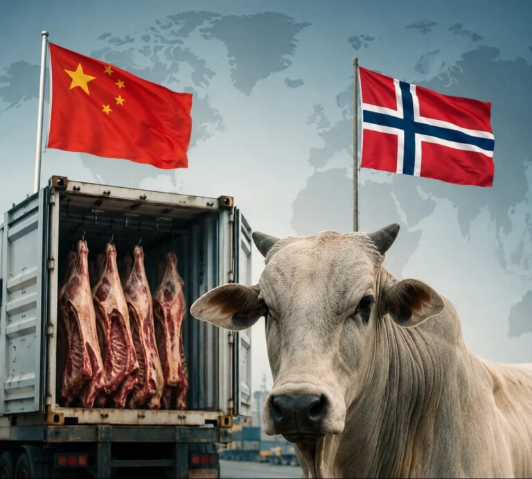 Carne brasileira enfrenta novas restrições na China e na Noruega