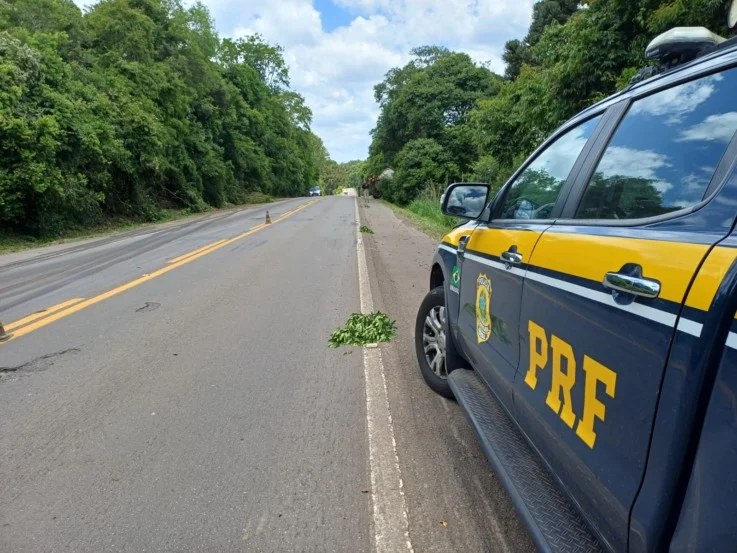 Viatura da PRF aborda a BR-290 em Uruguaiana, onde adolescente foi encontrado abandonado no acostamento.