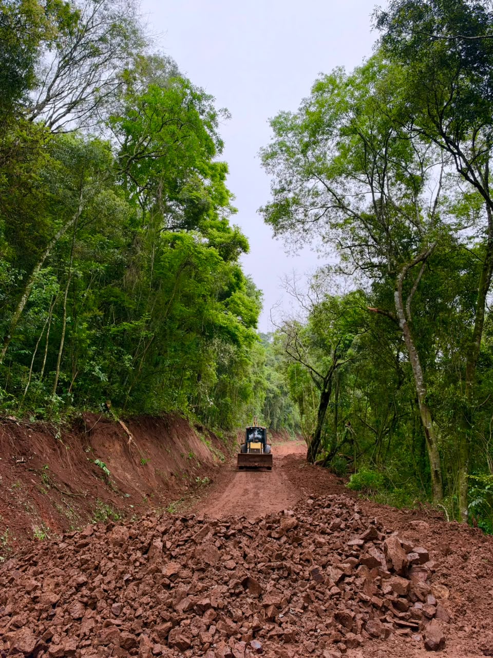 Máquina compactadora trabalha no alargamento de estrada de terra no interior de Relvado, entre mata nativa.