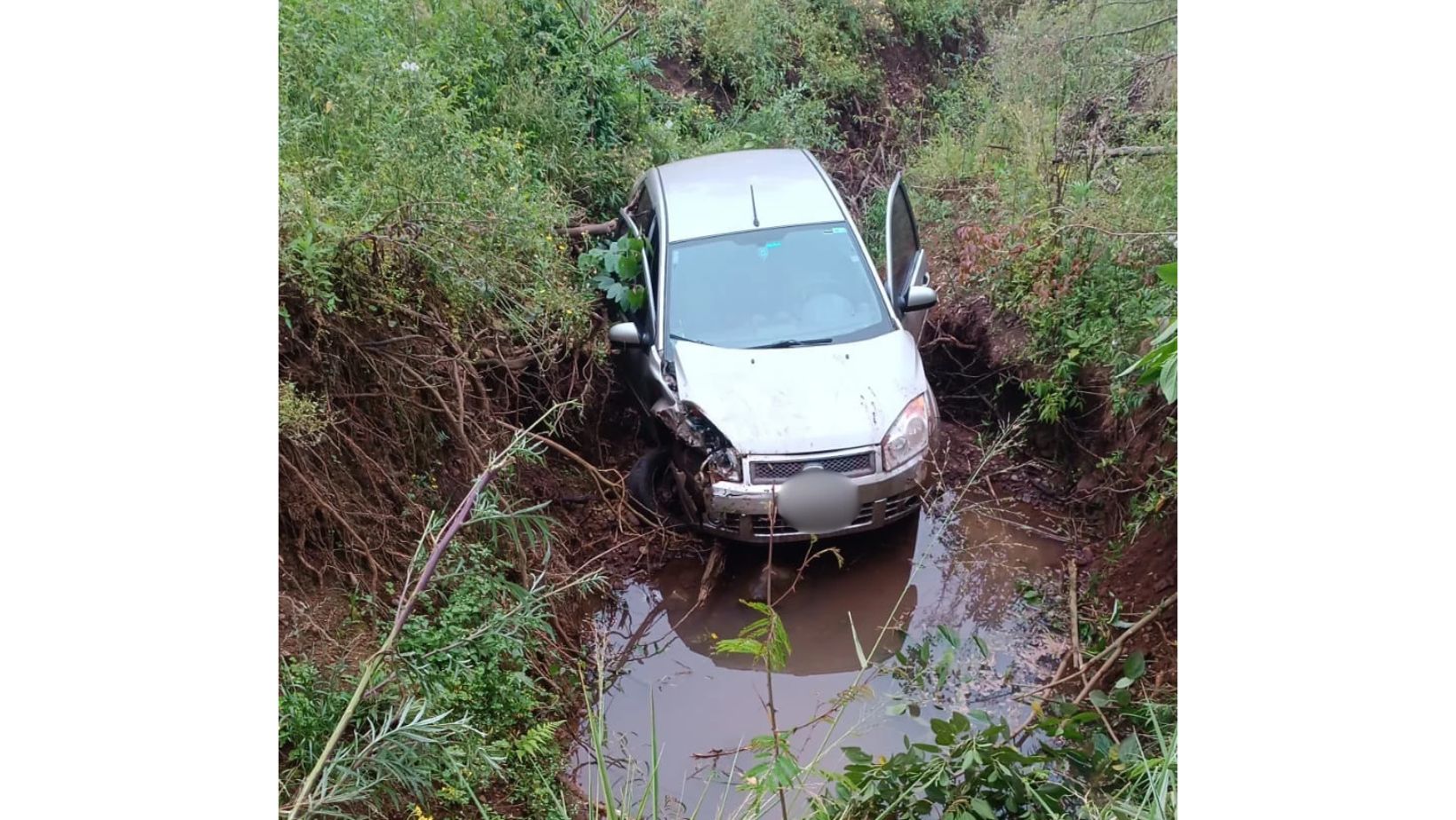 Veículo branco repousa submerso em valeta repleta de água e lama, cercado por vegetação densa, após sair da pista em Arroio do Meio.