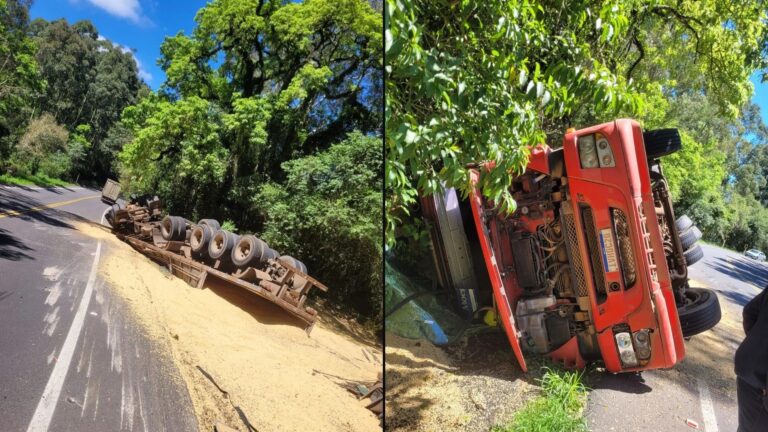 Carreta tomba e espalha carga às margens da rodovia entre Anta Gorda e Ilópolis
